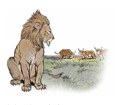 cartoon lion looking at bullocks