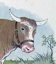 Picture of a cartoon cow