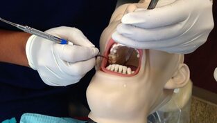 dental dummy being examined 