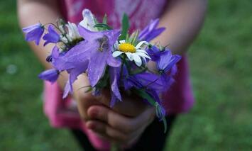 Picture of a little girl holding out a bouquet of purple and white wildflowers