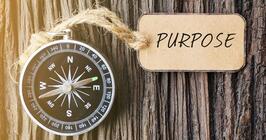 Compass with sign says purpose