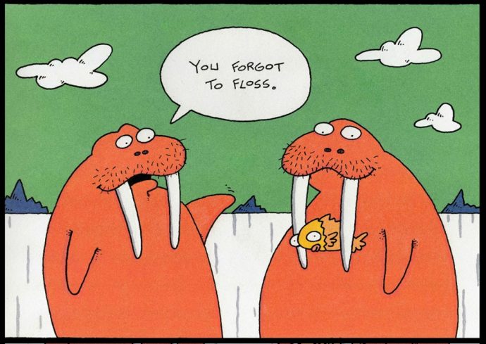 Picture of a walrus with fish stuck in his teeth and his walrus friend reminding him to floss