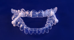 Wilson Martino Dental Staff Picture